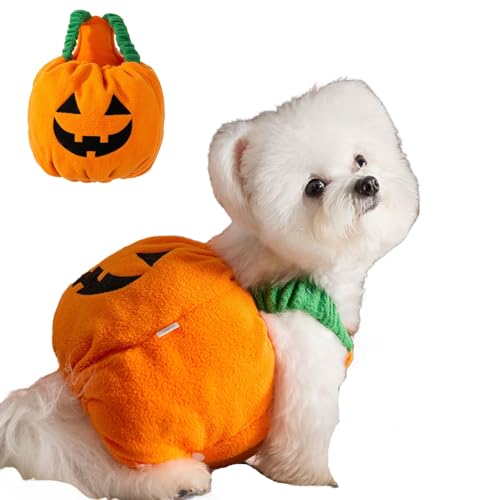 Winmany Süßes Kürbis-Kostüm für kleine Hunde und Katzen, leichtes Haustier-Halloween-Outfit, lustige Herbstkleidung für Haustiere, Party, Cosplay, Fotoshooting, Größe XL Winmany Süßes Kürbis-Kostüm für kleine Hunde und Katzen, leichtes Haustier-Halloween-Outfit, lustige Herbstkleidung für Haustiere, Party, Cosplay, Fotoshooting, Größe XL von Winmany
