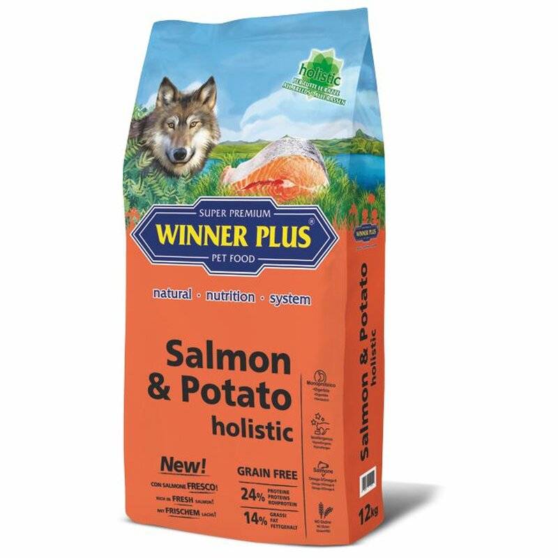 Winner Plus Holistic Lachs & Kartoffel Sparpaket 2 x 12 kg (6,02 € pro 1 kg) von Winner Plus