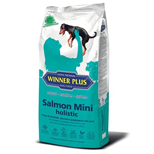 Winner Plus Salmon Mini Holistic 10 kg – auf Basis von Lachs, Alternative hypoallergen der Fleisch von Winner Plus