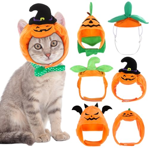 WinnerWhy Halloween-Katzenkostüm, Katze, Kürbishut, Halloween, Teufelshut, verstellbar, Haustier-Kopfschmuck, Kappe für Party, Verkleidung, Kitty, Cosplay, Kostüm, Zubehör, 6 Stück WinnerWhy Halloween-Katzenkostüm, Katze, Kürbishut, Halloween, Teufelshut, verstellbar, Haustier-Kopfschmuck, Kappe für Party, Verkleidung, Kitty, Cosplay, Kostüm, Zubehör, 6 Stück von WinnerWhy