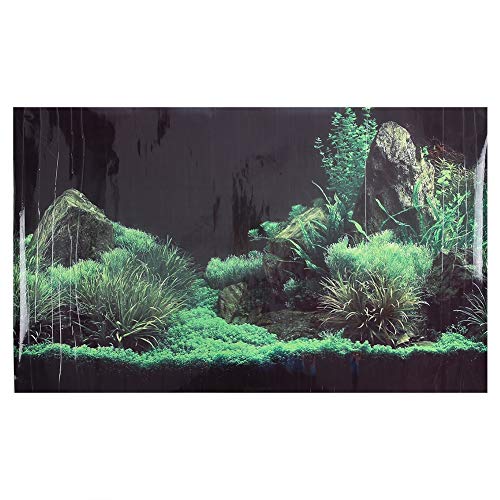 Winnfy Korallenaquarium Hintergrund Unterwasser Poster Aquarium Wanddekoration Aufkleber Dunkelgrün 61 X 30Cm von Winnfy