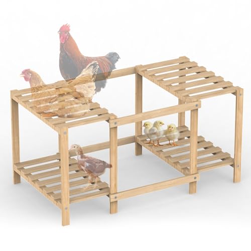 Wintcomfort Chicken Barch, Unique Chick Jungle Gym, Strong Roosting Bar Chicken Ladder for Coop & Brooder, Large Chicken Supplies for Coop Accessories, Training Barch Toy for Chickens, Chick, Poultry Wintcomfort Chicken Barch, Unique Chick Jungle Gym, Strong Roosting Bar Chicken Ladder for Coop & Brooder, Large Chicken Supplies for Coop Accessories, Training Barch Toy for Chickens, Chick, Poultry von Wintcomfort