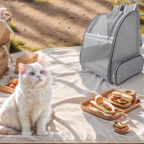 Katzen-Rucksack, Haustier-Tragetasche für Katzen/kleine Hunde/Häschen von Wintline
