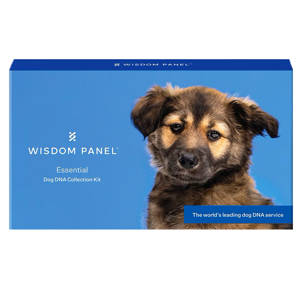Wisdom Panel™ Essential DNA-Test für Hunde - 1 Stück von Wisdom Panel