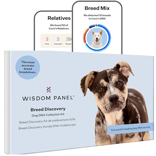 Wisxdom Panel zur Feststellung von Hunderassen DNA-Test-Kit – präzise Rassen-ID MDR1 Abstammung Verwandte von Wisdom Panel