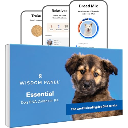 Wisdom Panel Essential – Hunde-DNA-Test für Ahnen, Rassen, Eigenschaften und Gesundheitstests von Wisdom