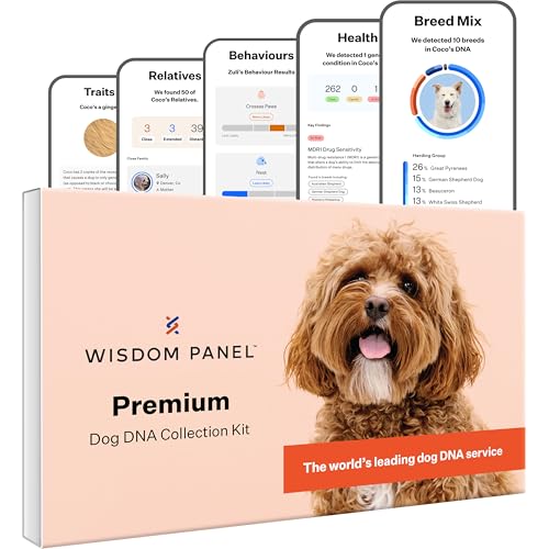 Wisdom Panel Premium - Dog DNA Test for Umfassende Gesundheit, Eigenschaften und Vorfahren 75g Wisdom Panel Premium - Dog DNA Test for Umfassende Gesundheit, Eigenschaften und Vorfahren 75g von Wisdom