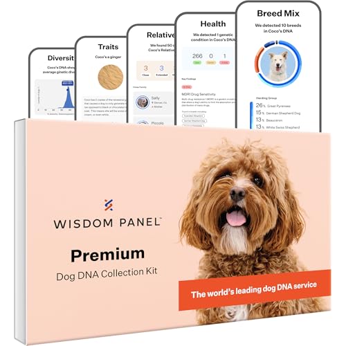 Wisdom Panel Premium: DNA-Test für Hunde mit 200+ Gesundheits- und Erbmerkmalsanalysen, Breed ID und Ahnenforschung, sowie genetische Diversität und tierärztliche Beratung von Wisdom