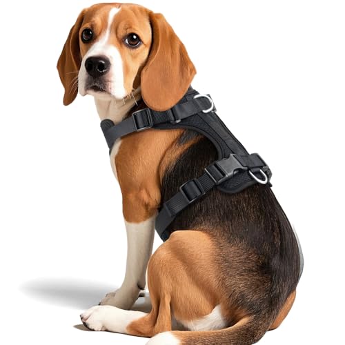 Wisedog Atmungsaktives Hundegeschirr aus Netz: kein Ziehen, mit 3 Schnellverschluss-Schnallen, verstellbar für Spaziergänge und Training für kleine, mittelgroße und große Hunde (Schwarz, M: Halsumfang Wisedog Atmungsaktives Hundegeschirr aus Netz: kein Ziehen, mit 3 Schnellverschluss-Schnallen, verstellbar für Spaziergänge und Training für kleine, mittelgroße und große Hunde (Schwarz, M: Halsumfang von Wisedog