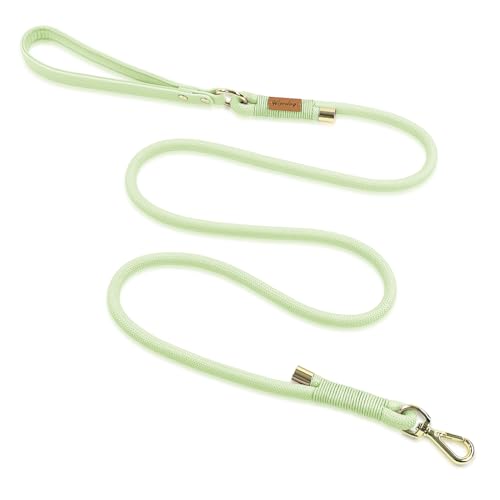 Wisedog Hundeleine aus Polyester-Seil, strapazierfähig, mit weichem, bequemem, gepolstertem Griff, langlebig, stilvoll, geflochtene Haustierleine für kleine, mittelgroße und große Hunde, Salbeigrün, Wisedog Hundeleine aus Polyester-Seil, strapazierfähig, mit weichem, bequemem, gepolstertem Griff, langlebig, stilvoll, geflochtene Haustierleine für kleine, mittelgroße und große Hunde, Salbeigrün, von Wisedog