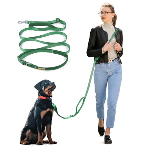 Wisedog Hundeleine mit 2 Griffen, bequem und sicher, gepolsterter Griff und robuster Metallverschluss, verstellbare Längen für handloses Gehen, Training, Laufen, mit Crossbody, Kieferngrün Wisedog Hundeleine mit 2 Griffen, bequem und sicher, gepolsterter Griff und robuster Metallverschluss, verstellbare Längen für handloses Gehen, Training, Laufen, mit Crossbody, Kieferngrün von Wisedog
