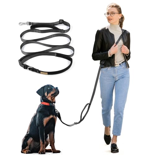 Wisedog Hundeleine mit 2 Griffen, verstellbare Länge für freihändiges Gehen, Training, Laufen, 4,8 m, gepolsterter Griff und robuster Metallverschluss, Schwarz Wisedog Hundeleine mit 2 Griffen, verstellbare Länge für freihändiges Gehen, Training, Laufen, 4,8 m, gepolsterter Griff und robuster Metallverschluss, Schwarz von Wisedog