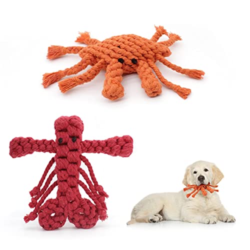 WishLotus 2 x Hundespielzeug, niedlicher Dinosaurier und gelbe Entenform, Hundespielzeug für aggressive Kauer, Baumwoll-Kauspielzeug für kleine, mittelgroße und große Rassen (Krabbe + Hummer) von WishLotus