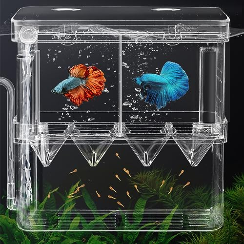 WishLotus Fischzuchtbox, hängende Züchterbox für Aquarium mit Saugnäpfen, multifunktionale Aquarium-Fischisolationsbox, Brutkasten, Brutkasten für Garnelen, Clownfisch, Betta (L) von WishLotus