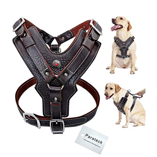 Wishdeal Hundegeschirr aus Echtem Leder langlebig Verstellbar für Große Hunde Schnelle Kontrolle mit Griff Haustierzubehör für K9 Labrador (M) Wishdeal Hundegeschirr aus Echtem Leder langlebig Verstellbar für Große Hunde Schnelle Kontrolle mit Griff Haustierzubehör für K9 Labrador (M) von Wishdeal