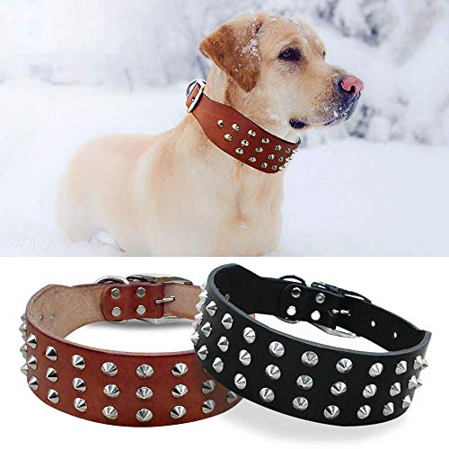 Wishdeal Hundehalsband aus Echtleder, für kleine und mittelgroße Hunde, Schwarz/Braun von Wishdeal