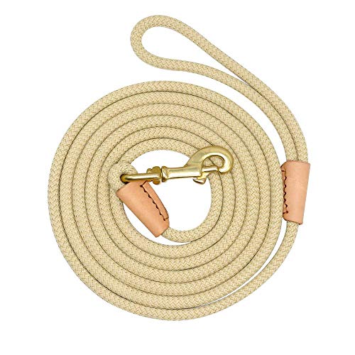 Schleppleine für Große Hunde 10M 20M 5M Hundeleine Trainingsleine Hund Runde Gummierte Griff rutschfeste und Robuste Trainingsleine Karabiner aus Messing (3m, Beige) Schleppleine für Große Hunde 10M 20M 5M Hundeleine Trainingsleine Hund Runde Gummierte Griff rutschfeste und Robuste Trainingsleine Karabiner aus Messing (3m, Beige) von Parateck