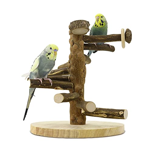 WishesMar Wellensittich Spielplatz Vogel-Spielplatz für Nymphensittich Papageien Wellensittiche, Holz, Größe 24.5x22x22 cm WishesMar Wellensittich Spielplatz Vogel-Spielplatz für Nymphensittich Papageien Wellensittiche, Holz, Größe 24.5x22x22 cm von WishesMar