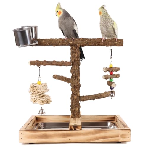 WishesMar Wellensittich Spielplatz Vogel-Spielplatz mit Feeder-Cup Spielzeug Leiter Erklimmen und Tablett für Nymphensittich Papageien Wellensittiche, Holz, Größe 35.6x26x34 cm #K WishesMar Wellensittich Spielplatz Vogel-Spielplatz mit Feeder-Cup Spielzeug Leiter Erklimmen und Tablett für Nymphensittich Papageien Wellensittiche, Holz, Größe 35.6x26x34 cm #K von WishesMar