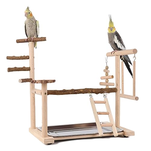 WishesMar Wellensittich Spielplatz Vogel-Spielplatz mit Spielzeug Leiter Erklimmen Schaukel und Tablett für Nymphensittich Papageien Wellensittiche, Holz, Größe 36x23x39 cm von WishesMar