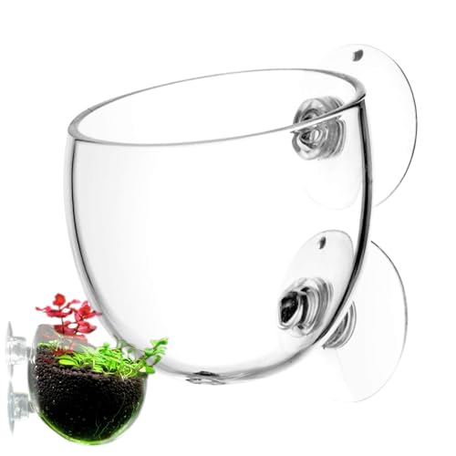 Aquarium-Pflanztopf | Glas-Pflanztopf mit Saugnäpfen | Wasser-Pflanztopf für lebende Pflanzen | Aquarium-Dekoration | Unterwasser-Pflanztopf für Süß- und Salzwassertanks Aquarium-Pflanztopf | Glas-Pflanztopf mit Saugnäpfen | Wasser-Pflanztopf für lebende Pflanzen | Aquarium-Dekoration | Unterwasser-Pflanztopf für Süß- und Salzwassertanks von Wisylizv