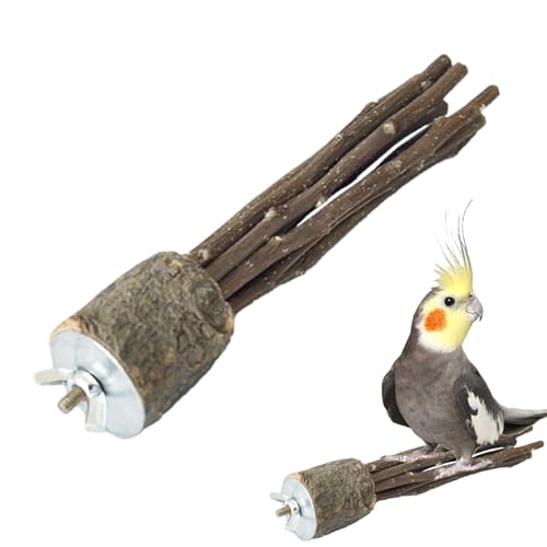 Bird Barch Stand Für - Jumbo Geschliffen Natürlicher Holzbarch Für Käfig | Fußübungen Und Pfotenschleifständer | Ungiftig Bequemer Barsch Für Afrikanische Grau, Und Vogel Bird Barch Stand Für - Jumbo Geschliffen Natürlicher Holzbarch Für Käfig | Fußübungen Und Pfotenschleifständer | Ungiftig Bequemer Barsch Für Afrikanische Grau, Und Vogel von Wisylizv