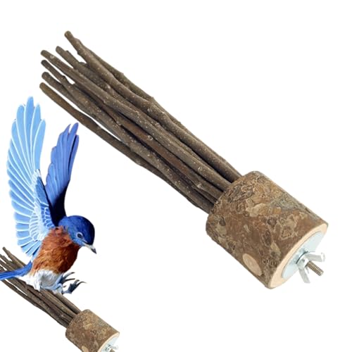 Bird Barch Stand Für - Jumbo Geschliffen Natürlicher Holzbarch Für Käfig | Fußübungen Und Pfotenschleifständer | Ungiftig Bequemer Barsch Für Afrikanische Grau, Und Vogel Bird Barch Stand Für - Jumbo Geschliffen Natürlicher Holzbarch Für Käfig | Fußübungen Und Pfotenschleifständer | Ungiftig Bequemer Barsch Für Afrikanische Grau, Und Vogel von Wisylizv