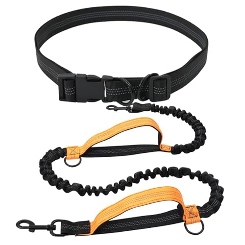 Hands Hundeleine, Hundeleine zum Spazierengehen, Nylon Professionelle Hundeleine, Laufleine für Wandern, Laufen, Spazierengehen und Outdoor Hands Hundeleine, Hundeleine zum Spazierengehen, Nylon Professionelle Hundeleine, Laufleine für Wandern, Laufen, Spazierengehen und Outdoor von Wisylizv