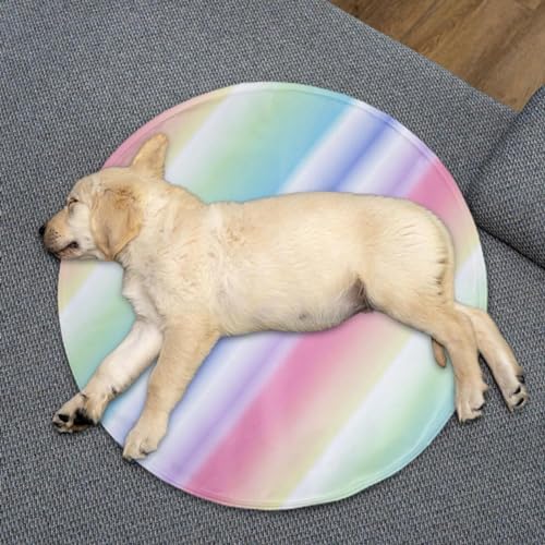 Wisylizv Kühlmatte für Hunde und Katzen – runde Hundedecke | Abkühlung im Sommer | selbstkühlende Matte | wasserdichte Polymer-Gel-Kühlmatte für kleine Haustiere Wisylizv Kühlmatte für Hunde und Katzen – runde Hundedecke | Abkühlung im Sommer | selbstkühlende Matte | wasserdichte Polymer-Gel-Kühlmatte für kleine Haustiere von Wisylizv