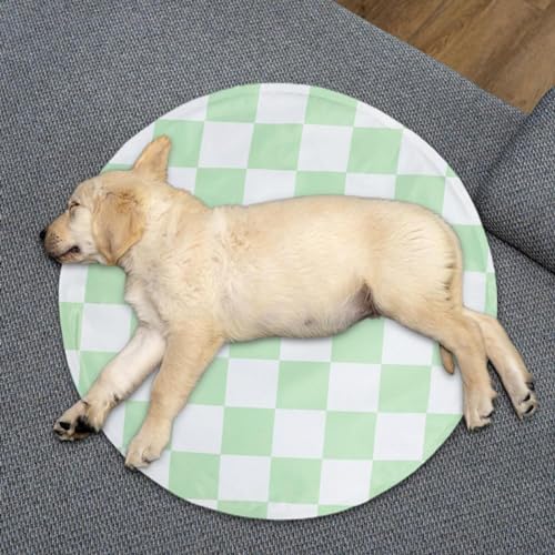 Wisylizv Kühlmatte für Hunde und Katzen – runde Hundedecke | Abkühlung im Sommer | selbstkühlende Matte | wasserdichte Polymer-Gel-Kühlmatte für kleine Haustiere Wisylizv Kühlmatte für Hunde und Katzen – runde Hundedecke | Abkühlung im Sommer | selbstkühlende Matte | wasserdichte Polymer-Gel-Kühlmatte für kleine Haustiere von Wisylizv