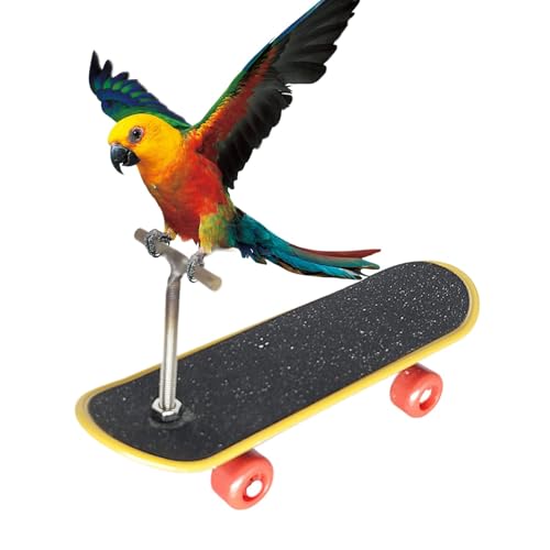 Spielzeug für , interaktives Puzzle-Trainingsskateboard, lustiges intelligenzförderndes Haustierzubehör für Sittiche, Sittiche, Sittiche und kleine Vögel Spielzeug für , interaktives Puzzle-Trainingsskateboard, lustiges intelligenzförderndes Haustierzubehör für Sittiche, Sittiche, Sittiche und kleine Vögel von Wisylizv