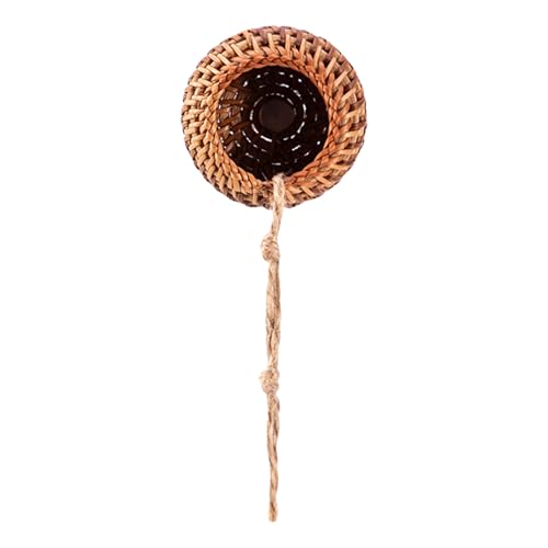 Springspinnen Terrarium Zubehör | Käfer Kletter Rattan Habitat - Kleines Magnet Terrarium Habitat Für Baumbewohnende Tiere Gottesanbeterinnen Invertebraten Springspinnen Terrarium Zubehör | Käfer Kletter Rattan Habitat - Kleines Magnet Terrarium Habitat Für Baumbewohnende Tiere Gottesanbeterinnen Invertebraten von Wisylizv