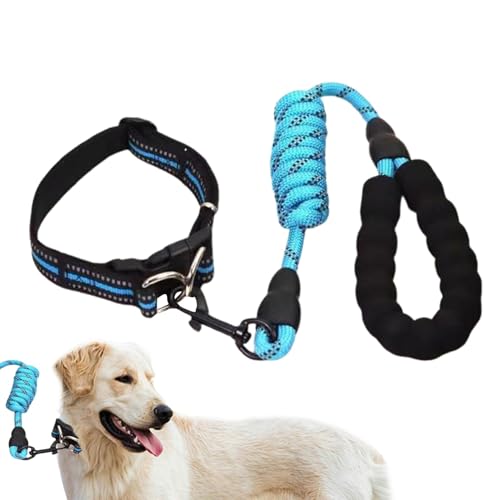 Verstellbares Haustierhalsband, Hundehalsband für mittelgroße Hunde - Verstellbares Hundehalsband,Reflektierende Design-Nylon-Hundehalsbänder, geeignet für große, mittlere und kleine Hunderassen Verstellbares Haustierhalsband, Hundehalsband für mittelgroße Hunde - Verstellbares Hundehalsband,Reflektierende Design-Nylon-Hundehalsbänder, geeignet für große, mittlere und kleine Hunderassen von Wisylizv