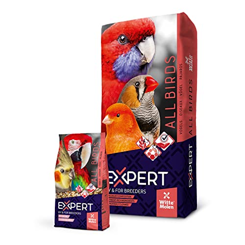 Witte Molen Expert Premium Tropical Mix 800 g Snackmix für Papageien und Großsittiche von Witte Molen Expert