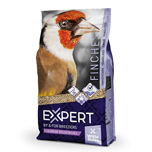 Witte Molen Expert Stieglitz Premium Vogelfutter 2 kg von Witte Molen