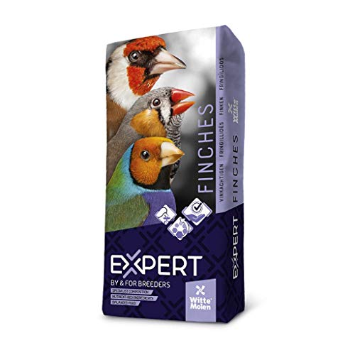 Witte Molen, Expert Basis Tropic Vögel bis 20 Kilo, Mischfutter für Vögel, zur Verwendung als solche oder zur Anreicherung, Basismischung, sparsame Mischung Witte Molen, Expert Basis Tropic Vögel bis 20 Kilo, Mischfutter für Vögel, zur Verwendung als solche oder zur Anreicherung, Basismischung, sparsame Mischung von Witte Molen