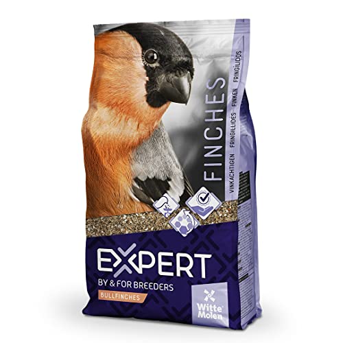 Witte Molen, Expert Dompfaffen Pfingstrosen 20 kg, Vogelfutter, vielfältige Auswahl hochwertiger Samen, Spezialmischung, hoher Fettgehalt Witte Molen, Expert Dompfaffen Pfingstrosen 20 kg, Vogelfutter, vielfältige Auswahl hochwertiger Samen, Spezialmischung, hoher Fettgehalt von Witte Molen