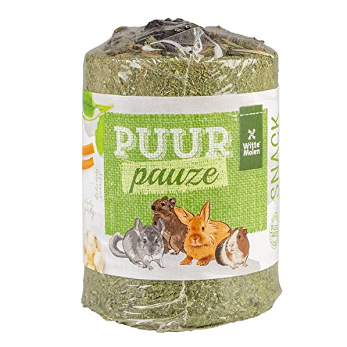 Witte Molen, Puur Pauze Petersilie Karotte & Kochbananen, 100 g, Grün, Futter für Nagetiere, eine köstliche und gesunde Aktivität, ohne künstliche Konservierungsstoffe, Farbstoffe oder Aromen von Witte Molen