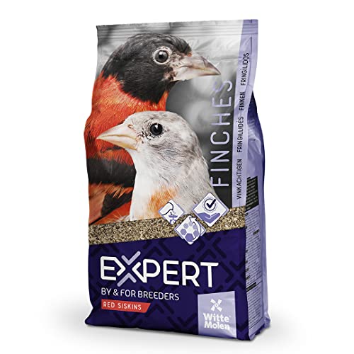 Witte Molen EXPERT Kapuzenzeisige 1 x 2 kg von Witte Molen