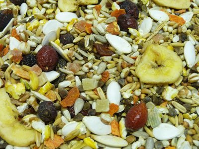 Witte Molen Papagei-Mix/Blue Diamond, 15 kg von Witte Molen