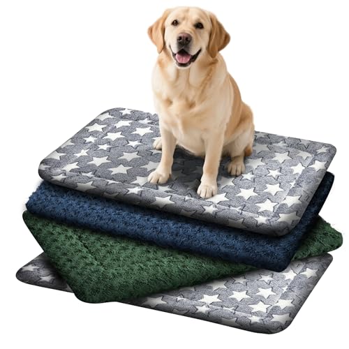 Hundebett-Matte (4 Stück, gemischte Farben, L (91,4 cm L x 61 cm B x 3,8 cm T) von Wittop