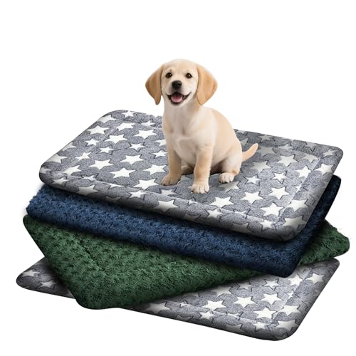 Hundebett-Matte (4 Stück, gemischte Farben, S (61 cm L x 45,7 cm B x 3,8 cm T) von Wittop