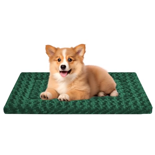 Hundebett-Matte (Dunkelgrün, S (L x B x T): 61 x 45,7 x 3,8 cm von Wittop