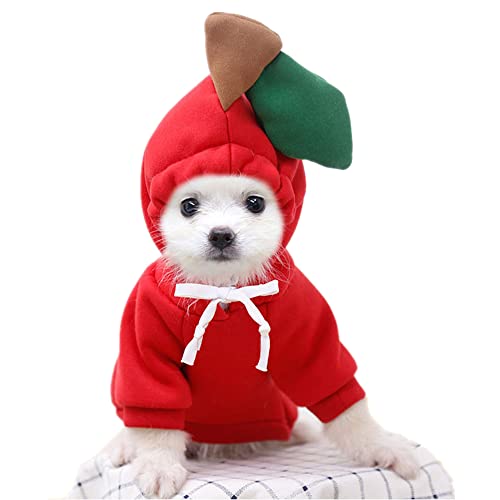 Hunde-Weihnachts-Kostüm, Halloween-Kostüm, Hunde-Kapuzenpullover für kleine Hunde, Katzen, Welpen, Yorkie, Chihuahua, Zwergspitz, Größe XL, Rot-Apfel von Wiz BBQT