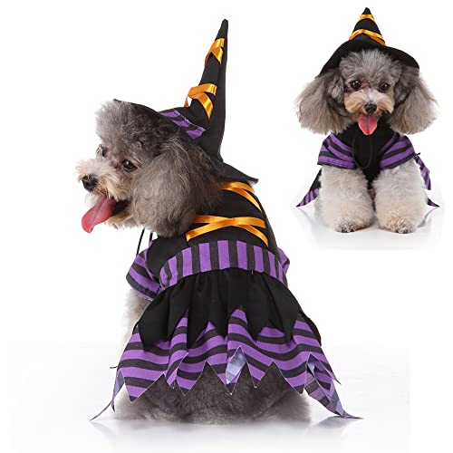 Lustiges Halloween-Hundekleid Kostüm + verstellbarer Hexenhut Urlaubsthema für kleine Hunde Katzen Mädchen (klein) von Wiz BBQT
