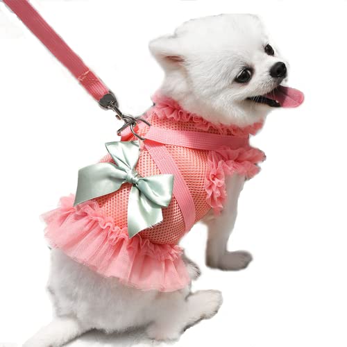 Verstellbares Kleid für kleine Hunde und Katzen, mit Leine, atmungsaktiv, weiches Netzgewebe, Spitzensaum (klein, Wassermelonenrot) von Wiz BBQT