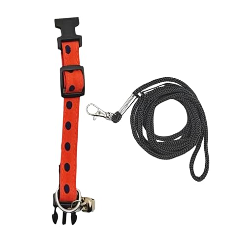 Wizoowip Bequeme Haustierleine mit Verstellbarer Schnalle, Haustierleine, verstellbares Reptilien-Traktionsseil-Halsband-Set für Outdoor-Abenteuer Orange L von Wizoowip