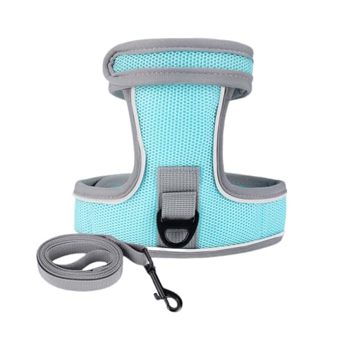 Wizoowip Katzengeschirr-Leine-Set, leichte Katzenleine, 1 Set Haustierleine, verstellbares Befestigungsband, reflektierendes Katzengeschirr, Traktionsleinen-Set für Spaziergänge im Freien Blauer Se Wizoowip Katzengeschirr-Leine-Set, leichte Katzenleine, 1 Set Haustierleine, verstellbares Befestigungsband, reflektierendes Katzengeschirr, Traktionsleinen-Set für Spaziergänge im Freien Blauer Se von Wizoowip