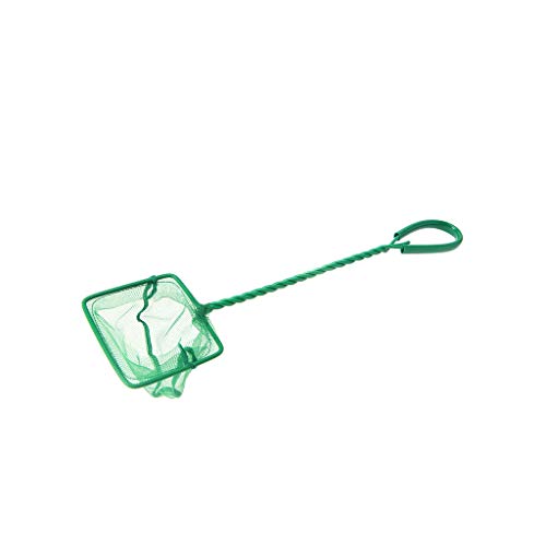 Wjsdsg Fischnetz Zum Angeln 3 4 5 6 8 10 Zoll Ultrafeines Netz Aquarium Zubehör Für Fische Und Garnelen Komfortgriff Wjsdsg Fischnetz Zum Angeln 3 4 5 6 8 10 Zoll Ultrafeines Netz Aquarium Zubehör Für Fische Und Garnelen Komfortgriff von Wjsdsg