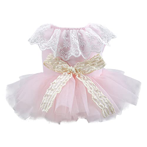 Wjsdsg Hunde Prinzessinnenkleid Hundekleider Hunde Kleid Hundekostüm Haustierkleider Hundekleidung Hundeschleifen Kleid Welpenkleid Wjsdsg Hunde Prinzessinnenkleid Hundekleider Hunde Kleid Hundekostüm Haustierkleider Hundekleidung Hundeschleifen Kleid Welpenkleid von Wjsdsg